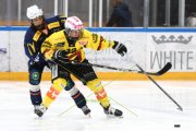 AMBRI - BERN
