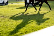 CSIO ST.GALLEN