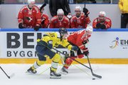SCHWEDEN - SCHWEIZ