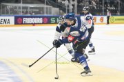 FRIBOURG - NITRA