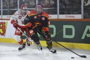 BERN - MOUNTFIELD