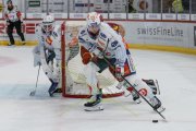 TIGERS - ZSC