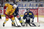 AMBRI - TIGERS