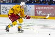 FRIBOURG - TIGERS
