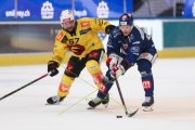 ZSC - BERN