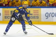 FRIBOURG - TIGERS
