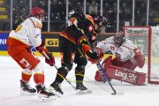 BERN - MOUNTFIELD