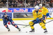 ZSC - DAVOS