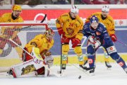 ZSC - TIGERS