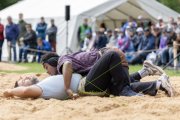 BASELSTAEDTISCHER SCHWINGERTAG