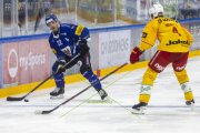 FRIBOURG - TIGERS
