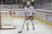 TIGERS - ZSC