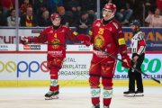 TIGERS - BERN