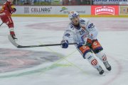 TIGERS - ZSC