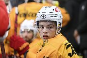 AMBRI - TIGERS