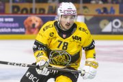 SCB - AJOIE
