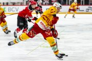 LAUSANNE - TIGERS
