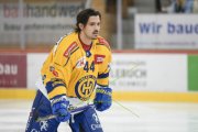 TIGERS - DAVOS