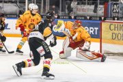 LUGANO - TIGERS