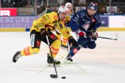 ZSC - BERN