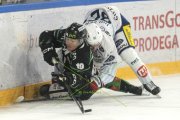 OLTEN - GCK LIONS
