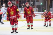 TIGERS - ZSC