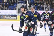 AMBRI - TIGERS