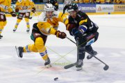 FRIBOURG - GENF