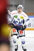 AMBRI - TIGERS