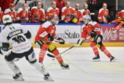 BELLINZONA - OLTEN