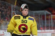 TIGERS - BERN
