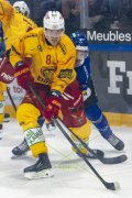 FRIBOURG - TIGERS