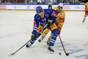 ZUG - TIGERS