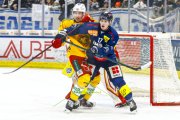 AMBRI - TIGERS