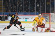 BERN - TIGERS
