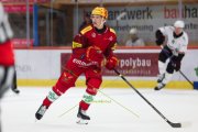 TIGERS - LAUSANNE