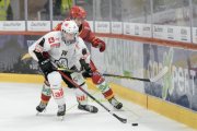 TIGERS - LUGANO