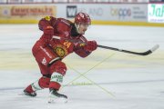 TIGERS - ZSC