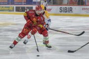 TIGERS - ZSC