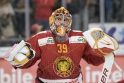 TIGERS - DAVOS