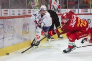 TIGERS - ZSC