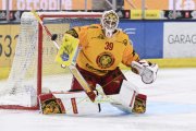 AMBRI - TIGERS