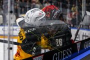 LUGANO - TIGERS