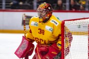 LAUSANNE - TIGERS