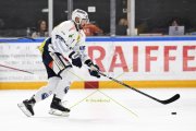 AMBRI - TIGERS