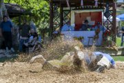 SCHWINGFEST SAN DIEGO COUNTY SWISS CLUB