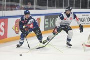 FRIBOURG - NITRA
