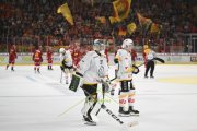 TIGERS - LUGANO