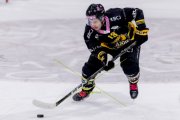 AJOIE - ZSC