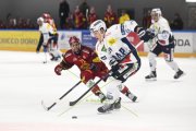 AMBRI - TIGERS